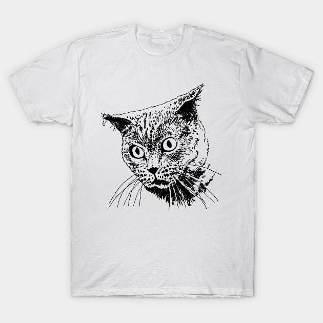 Cat for women funny kitty cat head for girls and boys T-Shirt by Nassif